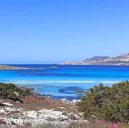 Giomar Sardegna Nord Ovest فندق مبيت وإفطار Campanedda